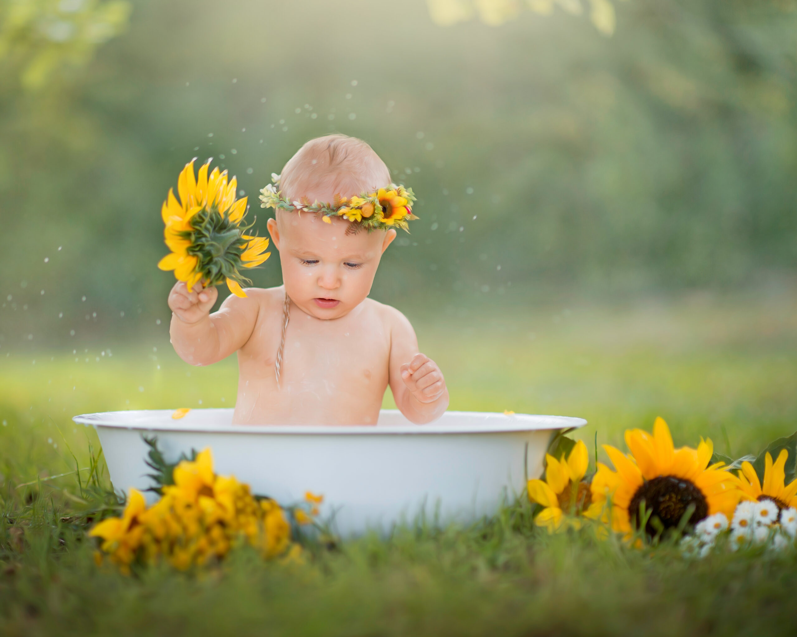 DSC_0493 Kopie copy 2